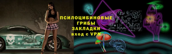 мдпв Богородск