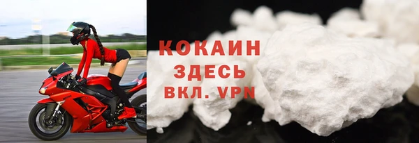 мдпв Богородск