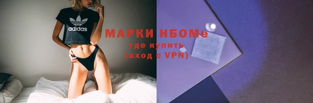 мдпв Богородск