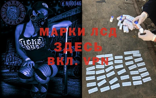 мдпв Богородск