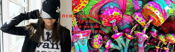 jwh Богданович