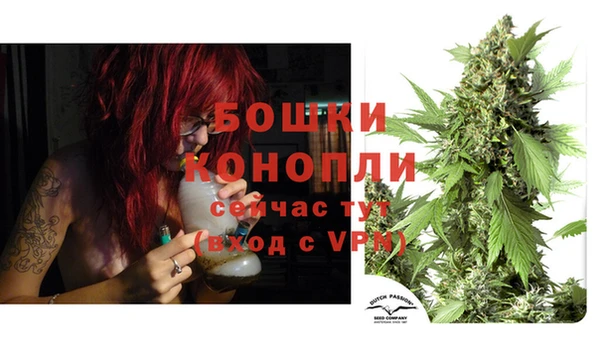 мдпв Богородск