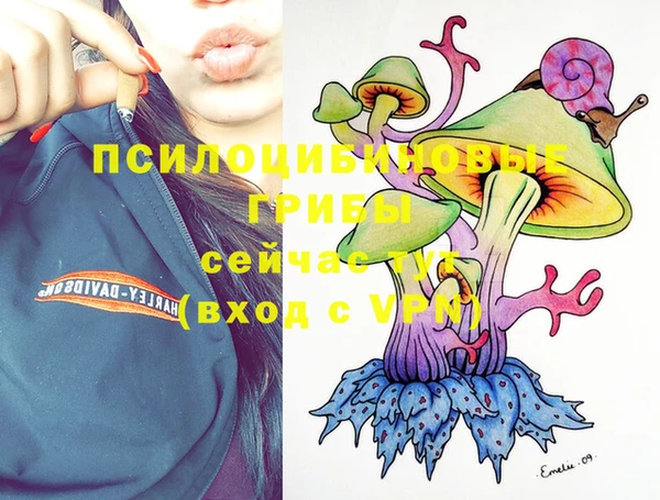 бошки Богородицк
