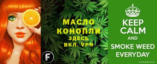 мдпв Богородск
