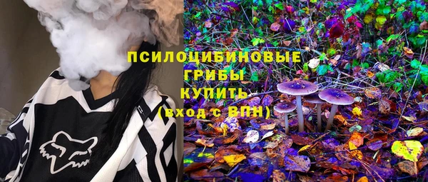 бошки Богородицк