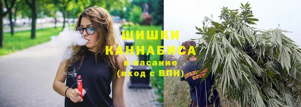 мдпв Богородск