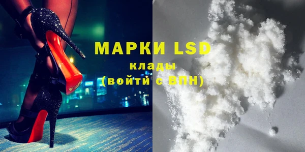 мдпв Богородск