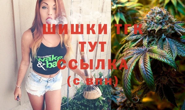 мдпв Богородск