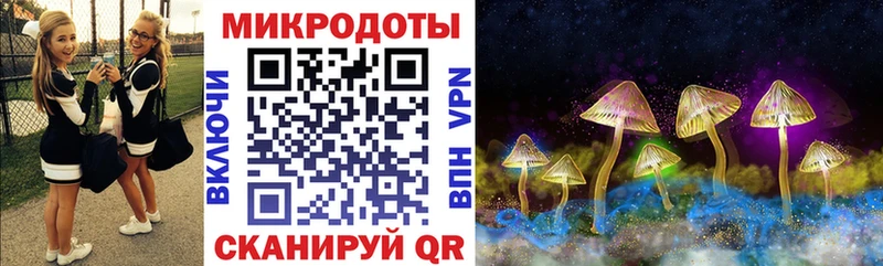 дарнет шоп  Щучье  Псилоцибиновые грибы Cubensis 